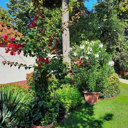 Siofok, Balaton 5 Apartamento *