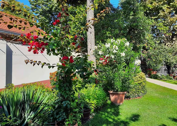 Siofok, Balaton 5 Apartamento *